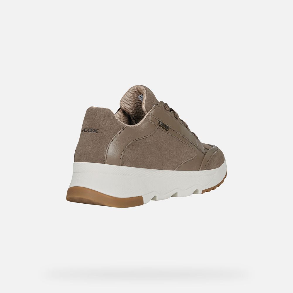 Geox Bayan Spor Ayakkabı Koyu Bej Rengi - Falena Abx - CAZ-856491